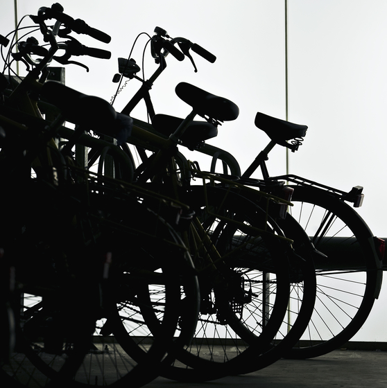 Parkings pour vélos - copyright Dave Van Laere